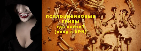 a pvp Алзамай