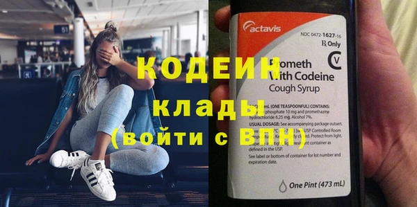 прущие грибы Алексеевка